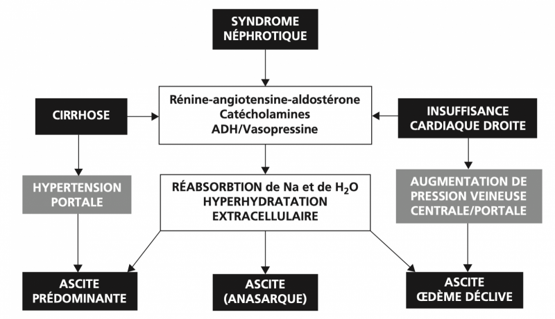 Lexipatho Le Lexique Des Pathologies M Dicales